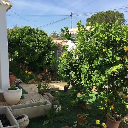 Guest house Esperanza Torrevieja